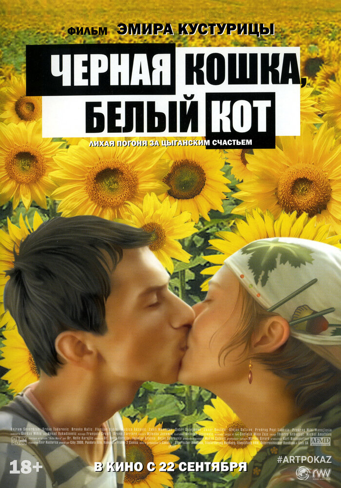 Черная кошка, белый кот — постер