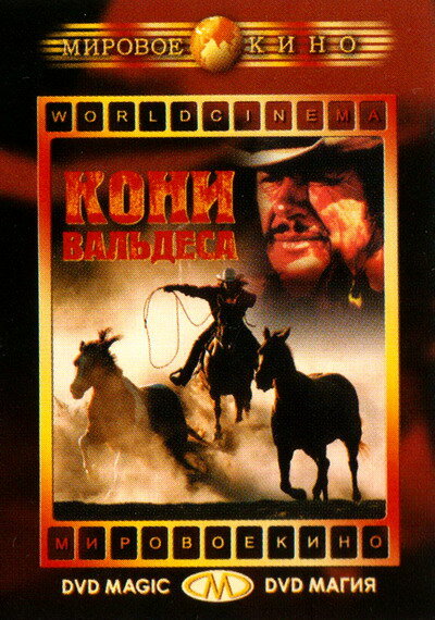 Кони Вальдеса — постер