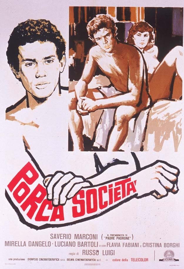 Свинское общество — постер