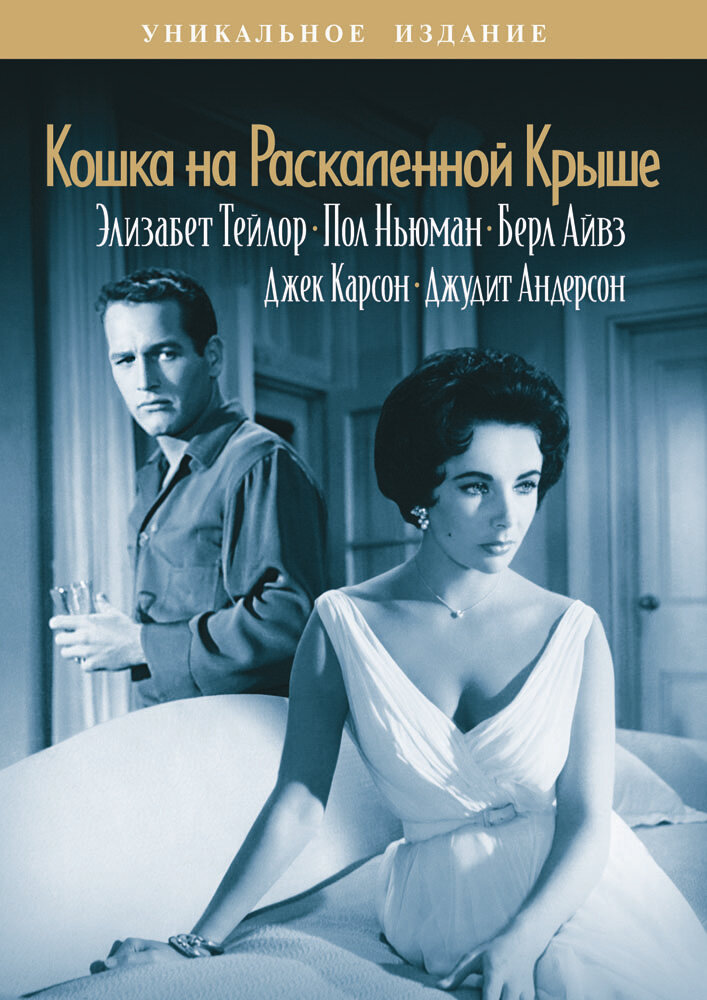 Кошка на раскаленной крыше — постер