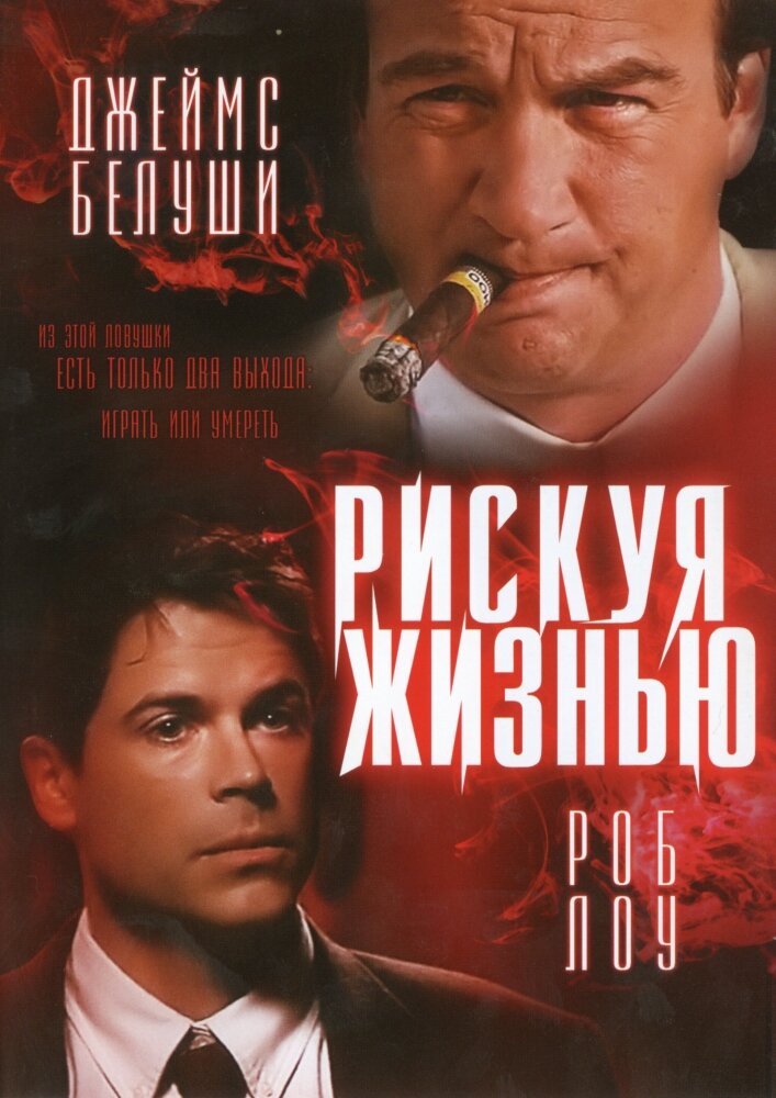 Рискуя жизнью — постер