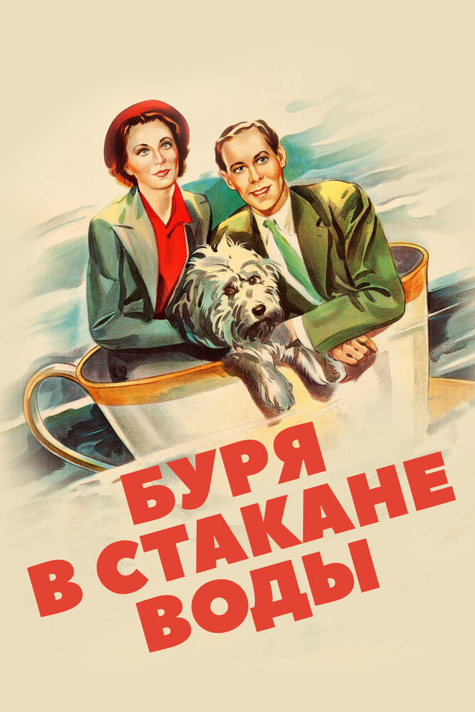 Буря в стакане воды — постер