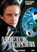 Цветок у дороги — постер