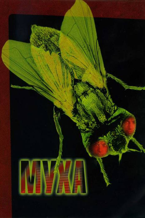 Муха — постер