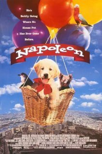 Наполеон — постер