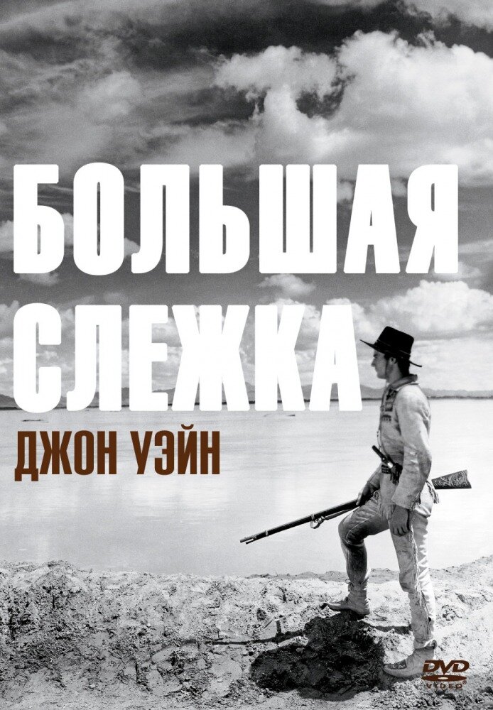 Большая слежка — постер