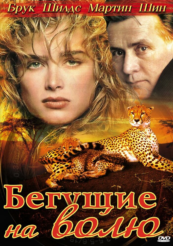 Бегущие на волю — постер