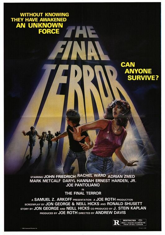 Финальный террор — постер