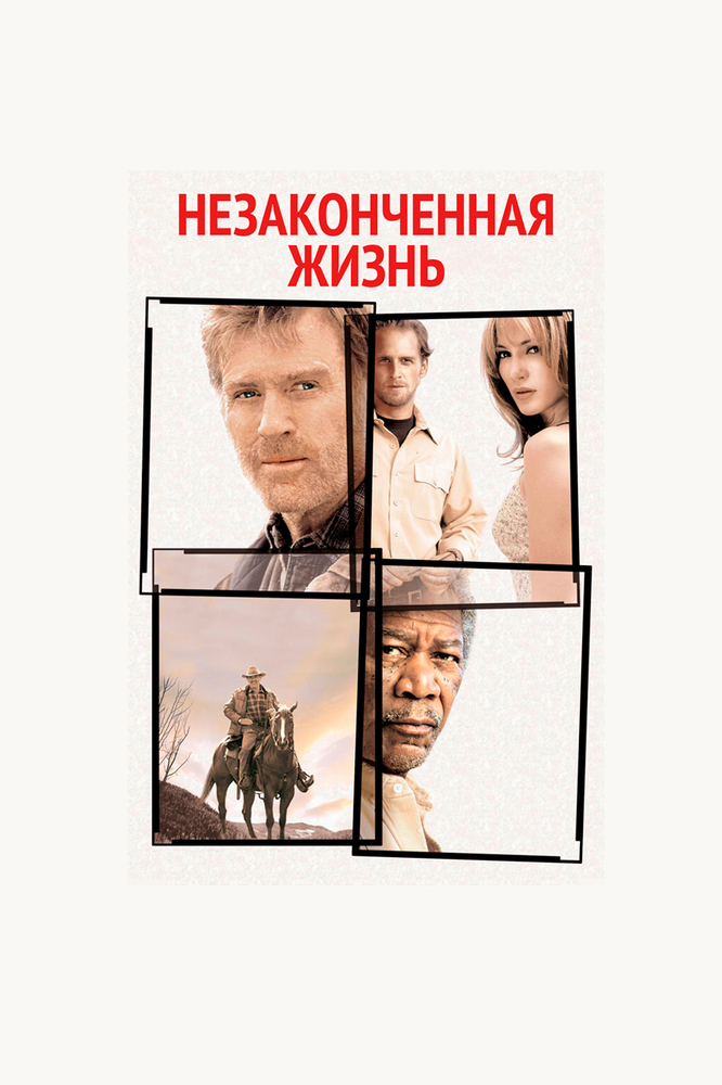 Незаконченная жизнь — постер