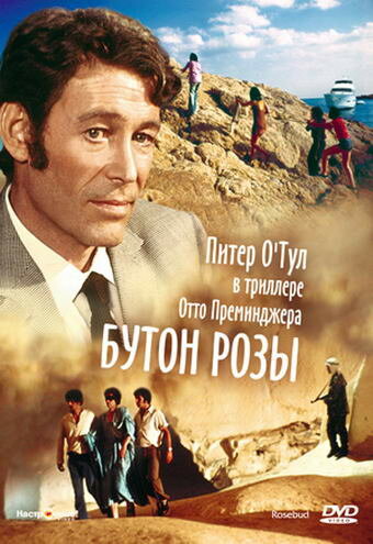 Бутон розы — постер