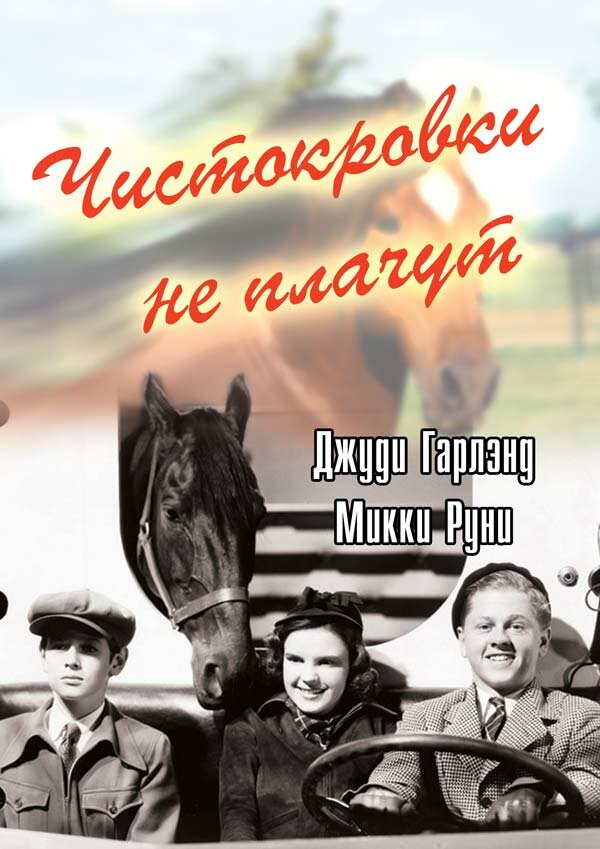 Чистокровки не плачут — постер