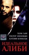 Идеальное алиби — постер
