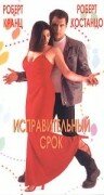 Исправительный срок — постер