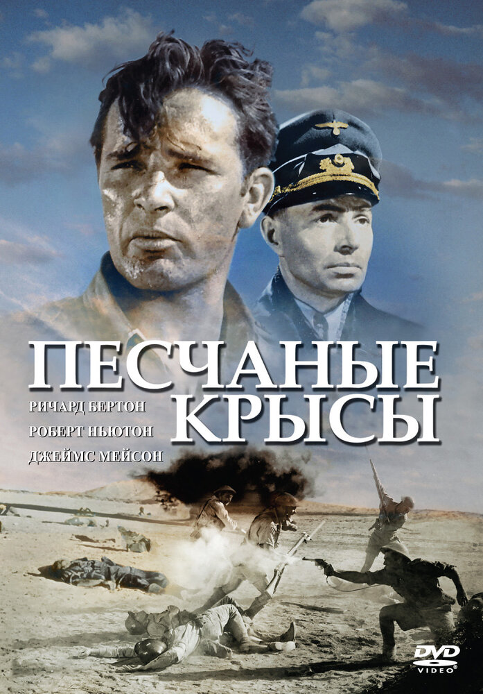 Песчаные крысы — постер