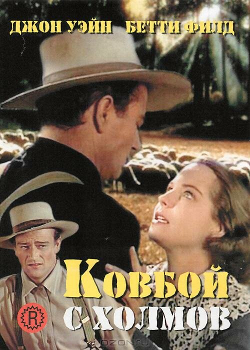Ковбой с холмов — постер