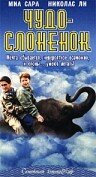 Чудо — слоненок — постер