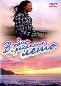 В одно прекрасное лето — постер