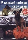 У каждой собаки свой день — постер