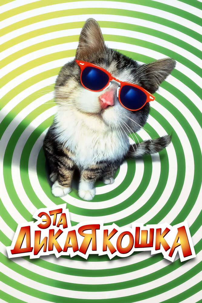 Эта дикая кошка — постер