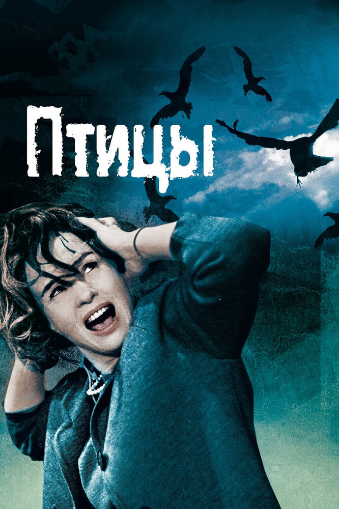 Птицы — постер