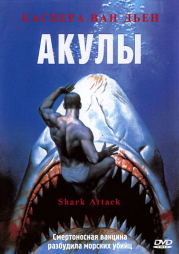 Акулы — постер