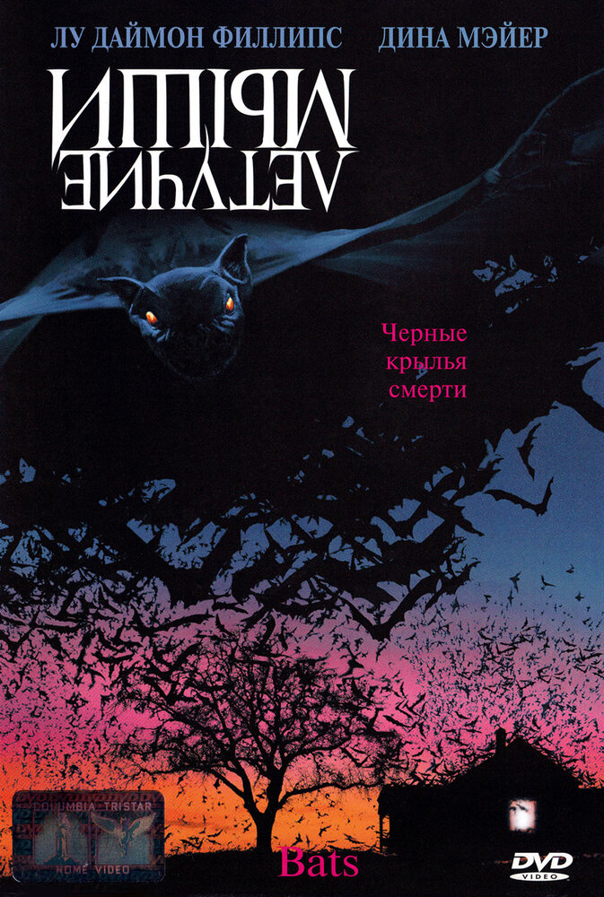 Летучие мыши — постер