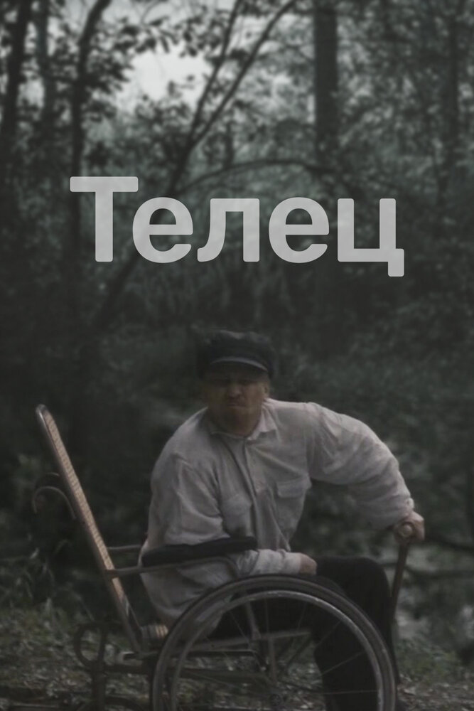 Телец — постер
