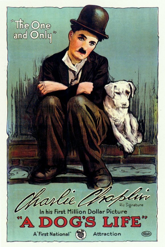 Собачья жизнь — постер