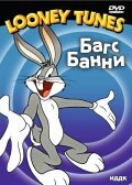 Заяц в снегах — постер