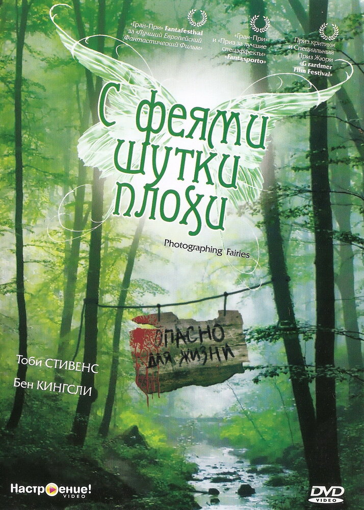 С феями шутки плохи — постер