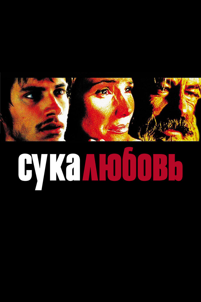 Сука-любовь — постер