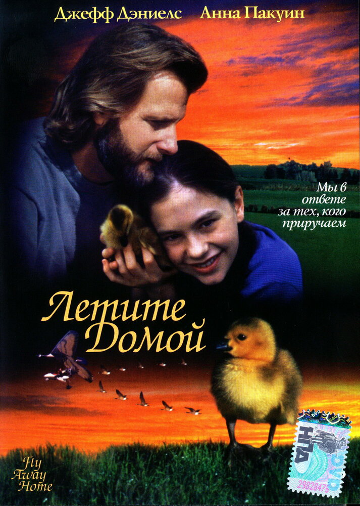 Летите домой — постер