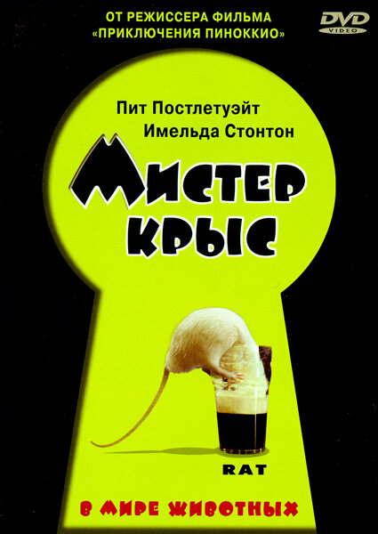 Мистер крыс — постер