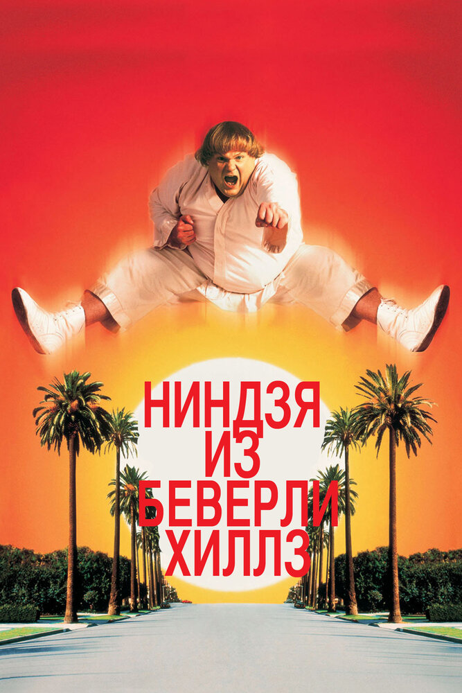 Ниндзя из Беверли-Хиллз — постер