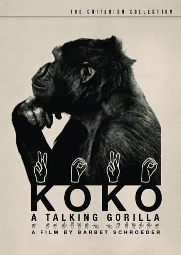 Коко, говорящая горилла — постер
