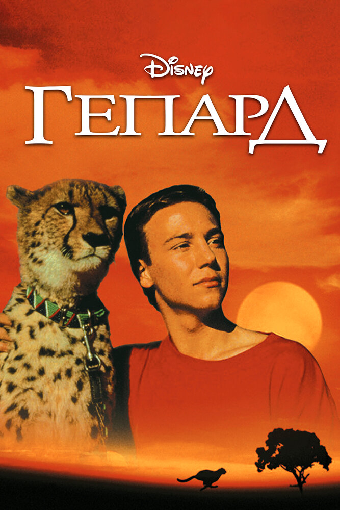 Гепард — постер