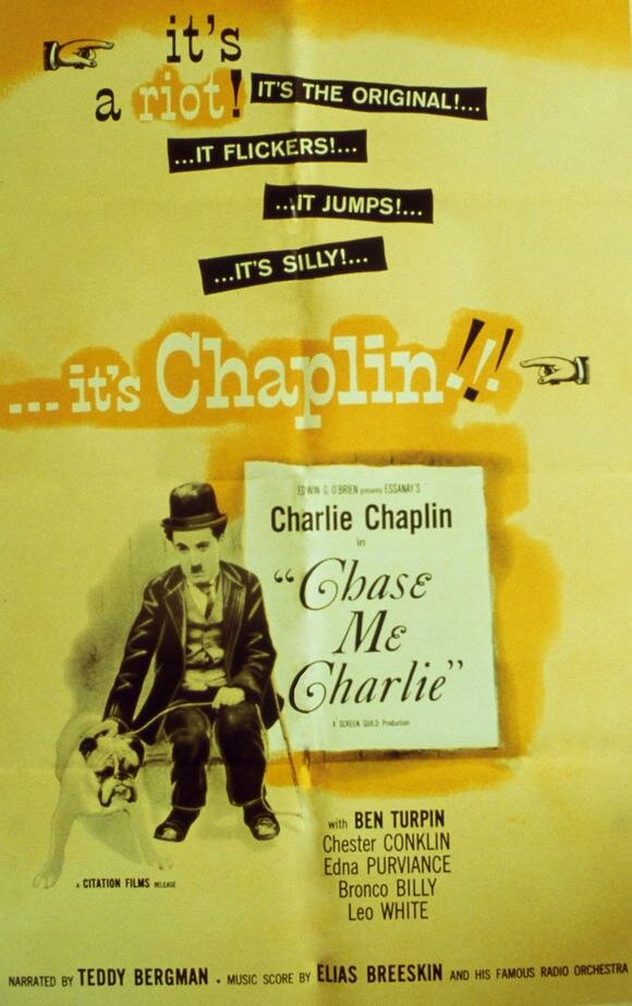 Догони меня, Чарли — постер