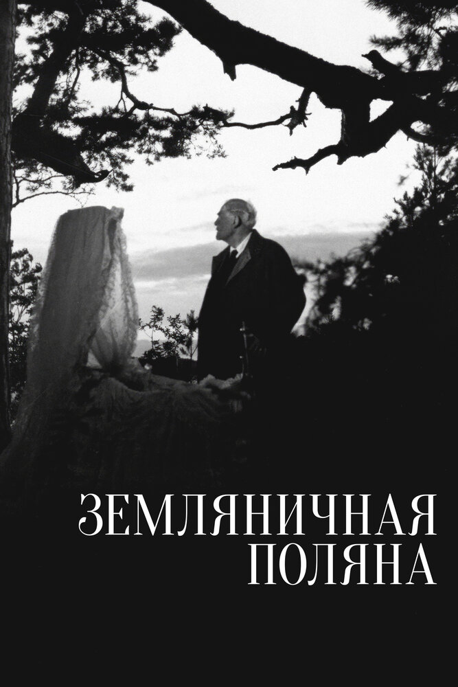 Земляничная поляна — постер