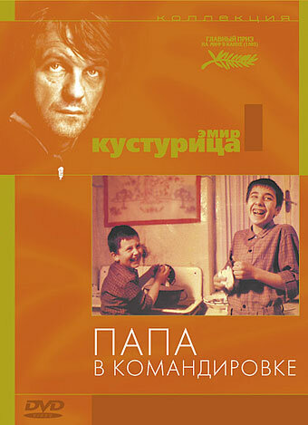 Папа в командировке — постер