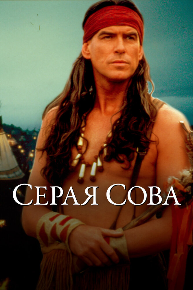Серая сова — постер
