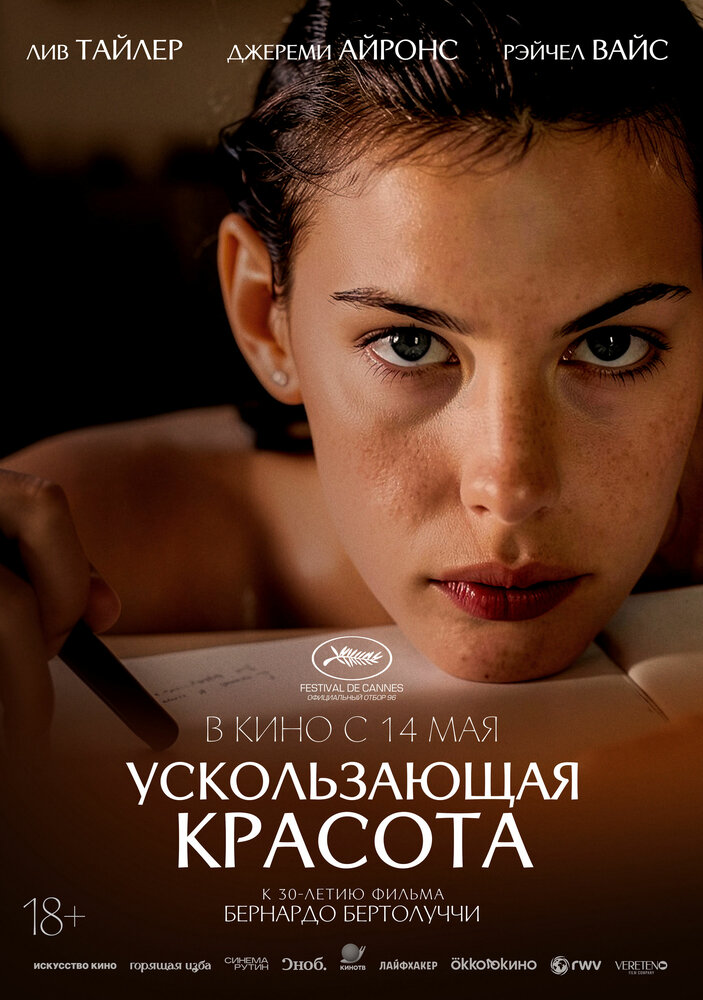 Ускользающая красота — постер