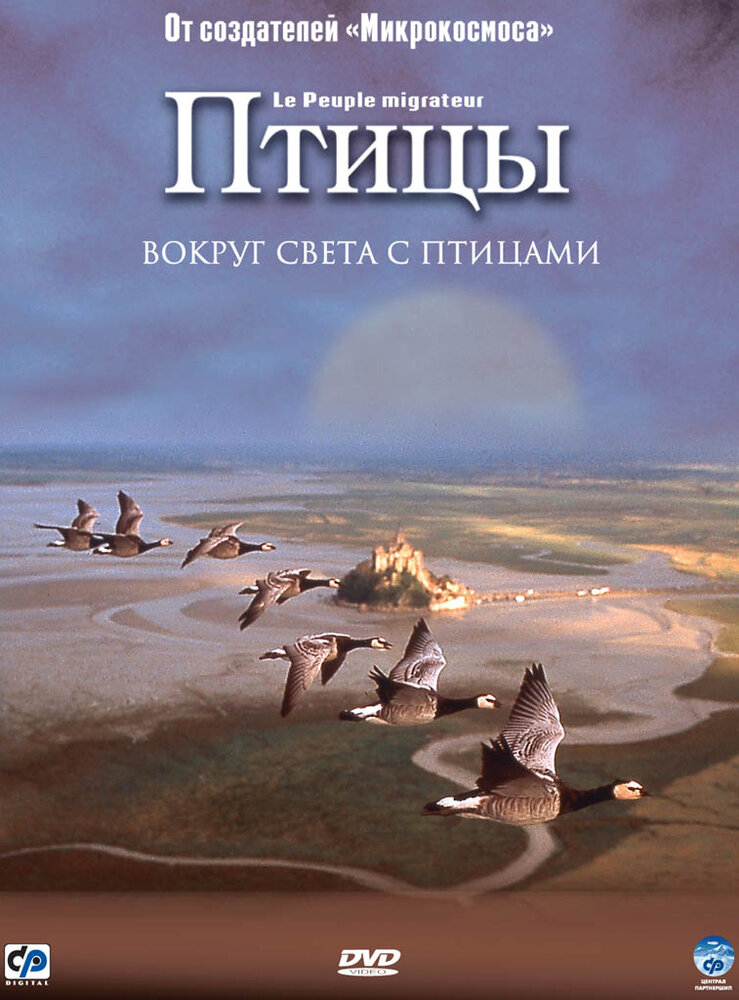 Птицы — постер